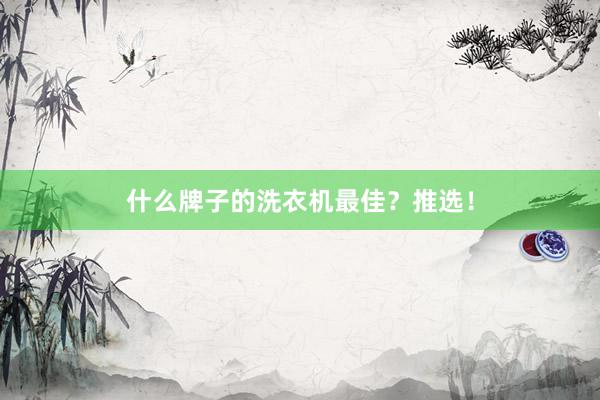 什么牌子的洗衣机最佳？推选！